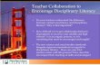 Collaborative Teaching to Encourage Disciplinary Literacy
