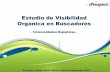 Estudio visibilidad-universidades-españolas-en-buscadores-sep-2010