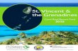 St. Vincent & Grenadines - Nature Conservancy · PDF fileSt. Vincent & Grenadines Coral Reef Report Card 2015 St. Vincent & the Grenadines Coral Reef Report Card 2016