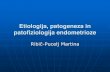 Etiologija, patogeneza in patofiziologija endometriozeibk.mf.uni-lj.si/teaching/objave/endo1etiopatoendo.pdf · Endometrioza – socijalna bolezen (Evropski parlament 2007) Kronična