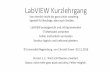 LabVIEW Kurzlehrgang - homepages.uni-regensburg.deerc24492/PDFs/LabView Basic… · LabVIEW Kurzlehrgang LabVIEW praxisgerecht und richtig anwenden IT-Methoden verstehen Fehler methodisch