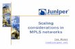 Scaling considerations in MPLS networks · PDF fileScaling considerations in MPLS networks Ina Minei ina@ . Disclaimer