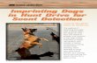 Imprinting Dogs in Hunt Drive for Scent Detection - K-9 BSD · PDF fileImprinting Dogs in Hunt Drive for Scent Detection ... dog to the box for a ... in the case of a passive dog,