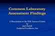 Common Laboratory Assessment · PDF fileNew calibration curves and standards ... Excel spreadsheet templates are not locked down or ... Mechanical volumetric pipette and dispenser