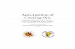 Auto-Ignition of Cooking Oils final 5-19 · PDF fileAuto-Ignition of Cooking Oils Dept. of Fire Protection Engineering Buda-Ortins University of Maryland 2 Abstract The ignition of
