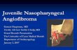 Juvenile Nasopharyngeal Angiofibroma - Welcome to · PDF fileJNA Benign highly vascular tumor Locally invasive, submucosal spread Vascular supply most commonly from internal maxillary