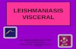 LEISHMANIASIS VISCERAL - sap.org.ar · PDF file•Antimoniales pentavalentes – (Meglumina y Estibogluconato sódico)