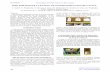 R&D for the Sponge Cleaning of Superconducting RF Cavity · PDF fileR&D FOR SPONGE CLEANING OF SUPERCONDUCTING RF CAVITY T. Saeki #, ... choosing one qualified company, ... found S