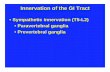 Innervation of the GI Tract - Eccles Health Sciences Library GI N... · Innervation of the GI Tract • Parasympathetic innervation • Vagus nerves (CN X) • Mouth to the sigmoid