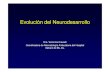 Evolución del Neurodesarrollo - sap.org.ar · PDF file9Test de desarrollo psicomotor (TEPSI). 9Wisc. Escala Bayley de desarrollo mental, motor y del comportamiento. ... impulsos nerviosos