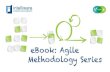 eBook: Agile Methodology  · PDF fileeBook: Agile Methodology Series