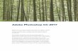 Adobe Photoshop CC 2017 - Photoshop for  · PDF fileAdobe Photoshop CC 2017 Welcome to the latest Adobe Photoshop CC bulletin update. This is provided free to ensure everyone