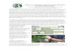 Pakan yang Dibuat oleh Pertanian Mandiri: Produksi Pakan · PDF fileArtikel ini meneliti berbagai metode dan teknik yang ... memiliki pengalaman dengan ikan koi Jepang yang diperoleh