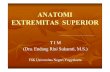 ANATOMI EXTREMITAS SUPERIOR - Staff Site …staffnew.uny.ac.id/upload/131568302/pendidikan/Anatomi-EXTREMITA… · Incisura scapulae 5. Trigonum spina scapulae 6. Collum scapulae
