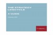 THE STRATEGY LIFECYCLE - Bill & Melinda Gates … Strategy Lifecycle.pdf · The Strategy Lifecycle: A Guide Bill & Melinda Gates Foundation [2] This document will continue to be updated