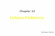 Chapter 13 Urban Patterns - Mr. Allen's Audacious ...644892358441536678.weebly.com/uploads/1/0/4/2/10420289/chapter_1… · Chapter 13 Urban Patterns By Eugene Stanton. Urban Patterns