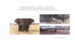 Human-Wildlife Conflict worldwide: collection of case ... · PDF fileHuman-Wildlife Conflict worldwide: collection of case studies, analysis of management strategies and good practices