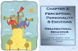 Chapter 2: Perception, Personality & Emotions · PDF fileWhat is personality and how does it affect behaviour? 6. ... Why We Study Perceptions . ... The Case for EI