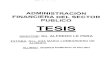 ADMINISTRACIÓN FINANCIERA DEL SECTOR …bibliotecadigital.econ.uba.ar/download/tpos/1502-0593_DiPelinoAE.pdf · ADMINISTRACIÓN FINANCIERA DEL SECTOR PUBLICO TESIS ... el estado