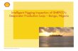 Intelligent Pigging Inspection of SNEPCO’s - MCEDDmcedd.com/wp-content/uploads/Mehran Moini - Shell.pdf · Shell Nigeria Exploration & Production Co. Intelligent Pigging Inspection