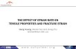 THE EFFECT OF STRAIN RATE ON TENSILE PROPERTIES AND FRACTURE STRAIN/media/Files/Autosteel/Great Designs in Steel... · THE EFFECT OF STRAIN RATE ON TENSILE PROPERTIES AND FRACTURE