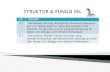 STRUKTUR & FUNGSI SEL · PDF file1. Menjelaskan konsep tentang sel bagi kehidupan 2. Membedakan struktur sel hewan dan sel tumbuhan 3. Menjelaskan ciri dan fungsi organel sel 4. Menjelaskan