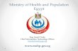 Ministry of Health and Population  · PDF fileMinistry of Health and Population Egypt . ... Key Activities Key Deliverables ... Enterprise Architecture Enterprise Data Model