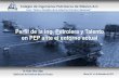 Perfil de la Ingenieria Petrolera y Talento en PEP ante el ... · PDF fileIngeniería de Producción Ingeniería de Yacimientos Diseño de Total Pozos Instalaciones de Producción