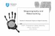 Steganography and Watermarking - AutenticaÃ§Ã£o ? Â· Steganography and Watermarking Section III. Advanced Topics on Digital Forensics CSF: Forensics Cyber-Security MSIDC, Spring