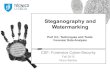 Steganography and Watermarking - ULisboa ? ‚ Steganography and Watermarking Part II.C. Techniques and Tools: Forensic Data Analysis CSF: Forensics Cyber-Security Fall 2015 Nuno