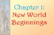 Chapter 1: New World Beginnings - FISDteachers.fisd.org/Teachers/tomm/SiteAssets/SitePages/AP U.S... · For my lectures, I will use a PowerPoint presentation with bulleted points.