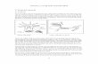 CHƯƠNG 2: CÁC HỆ SINH THÁI ĐIỂN HÌNH 2.1 Hệ sinh thái … thái CHUONG 2.pdf · tập đoàn và hình thành nên bộ xương chung. Cấu tạo một polyp Công cụ