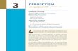 3 PERCEPTION - SAGE Publications Inc · PDF fileGESTALT APPROACHES TO PERCEPTION ... faces; when musical notes coalesce into chords and melodies; and when countless dots or pixels