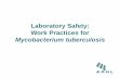 Laboratory Safety: Work Practices for - APHL · PDF fileAgent: Mycobacterium tuberculosis •Infectious dose 1-10 organisms – No safe level of exposure •Airborne droplet nuclei