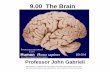9.00 The Brain - MIT OpenCourseWare · PDF file• Johann Casper Spurzheim (1776-1832) good neuroanatomists ... Baltimore, MD: Lippincott Williams & Wilkins, 2007. ISBN: 9780781760034.