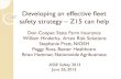 Developing an effective fleet safety strategy Z15 can helpassevirtualclassroom.org/virtualclassroomseminars/wp-content/... · Developing an effective fleet safety strategy – Z15