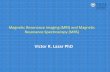 Victor R. Lazar PhD - SRM  · PDF fileMagnetic Resonance imaging (MRI) and Magnetic Resonance Spectroscopy (MRS) Victor R. Lazar PhD