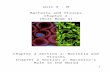 Chapter 1 Properties of Matter - Fairfield Public Schoolsschcdn.fairfieldschools.org/.../09/Unit-9-Bacteria-Viruse…  · Web viewUnit 9 - M. Bacteria and Viruses ... Unit Test.