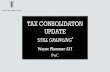 TAX CONSOLIDATON UPDATE - s3.  · PDF fileof RTFI) (iv) Deemed goodwill for assets not recognised under tax laws (v) “Business Acquisition” approach - no deduction for
