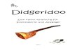Didgeridoo - · PDF fileEinführung Das Didgeridoo ist ein einzigartiges und faszinierendes Blasin­ strument (Aerophone), welches wir den Aborigines aus dem Norden Australiens zu