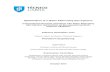 Optimization of a Water Alternating Gas Injection - ULisboa · PDF fileOptimization of a Water Alternating Gas Injection ... tNavigator licence, ... 2.2 Water Alternating Gas Injection