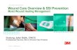 3M Health Care Business Wound Care Overview & SSI Prevention · PDF file3M Health Care Business Wound Care Overview & SSI Prevention ... (Produk&SOP) Moist wound healing ... PERAWATAN
