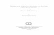 Multiparticle Trajectory Simulation for Ion Trap Mass ... · PDF fileMultiparticle Trajectory Simulation for Ion Trap Mass Spectrometers A Thesis Submitted for the Degree of Master