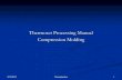 Thermoset Processing Manual Compression · PDF fileUrea molding compound, ... Compression Molding Process. Step-By-Step Start Up Guide. 3/10/2010 Chemiplastica 21. STEP ONE. Verify