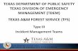 TEXAS DEPARTMENT OF PUBLIC SAFETY ... - Texas A&M …ticc.tamu.edu/Documents/IncidentResponse/AHIMT/2013_IMT_Training... · Texas Department of Public Safety TEXAS DEPARTMENT OF PUBLIC