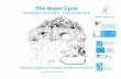 The Water Cycle - Westcountry Rivers · PDF fileUnderstanding the Water Cycle The Water Cycle II Add arrows to show the direction of water movement and either write the letters A-J