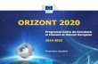 ORIZONT 2020 - asas.ro · PDF fileUn proiect – o rata de ... • Abordare integrata – circa 20% din bugetul total pentru ... • O activitate dedicata pentru IMM-urile cu cercetare