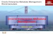 Oracle Enterprise Metadata Management Rövid bemutatókonferenciak.advalorem.hu/uploads/files/DB_25szerda_GollnhoferG.pdf · XMI (CWM és UML) Oracle Enterprise Metadata Management