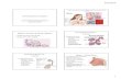 The Respiratory System - boe.jeff.k12.wv.us · PDF file5/27/2014 1 The Respiratory System Use this pptto complete notes pgs1-4. Study the information as you go & discuss each slide