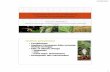 Perubahan Iklim dan Pengaruhnya Terhadap · PDF file21/06/2012 1 Rosichon Ubaidillah (Museum Zoologicum Bogoriense, Pusat Penelitian Biologi - LIPI) Perubahan Iklim dan Pengaruhnya